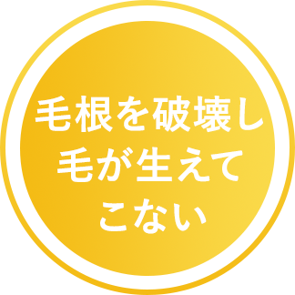 レジーナクリニックなら毛根から破壊し、もう生えてこない!