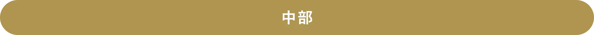 中部
