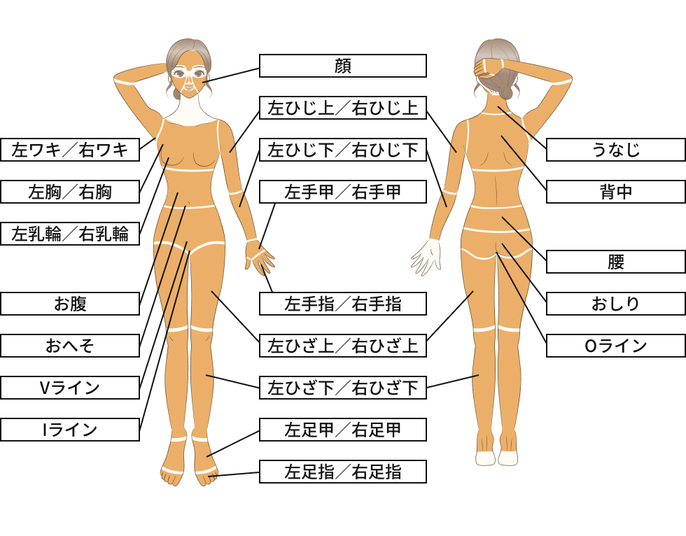 全身脱毛 + VIO + 顔